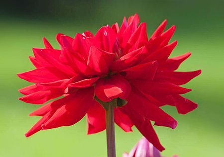 「天蝎座」年轻时很穷，但35岁后发达有钱的三个星座