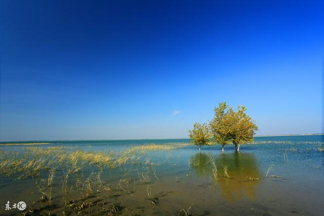 属龙：5月中旬财神眷顾，钞票滚滚来，横财必得，大奖必中的生肖