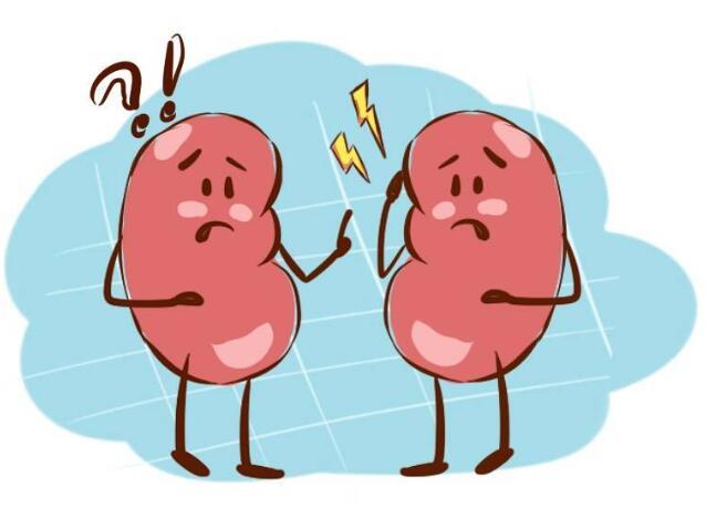 肾病|肾脏开始衰竭时,小便时会有四个信号,若你都有,尽早去医院检查