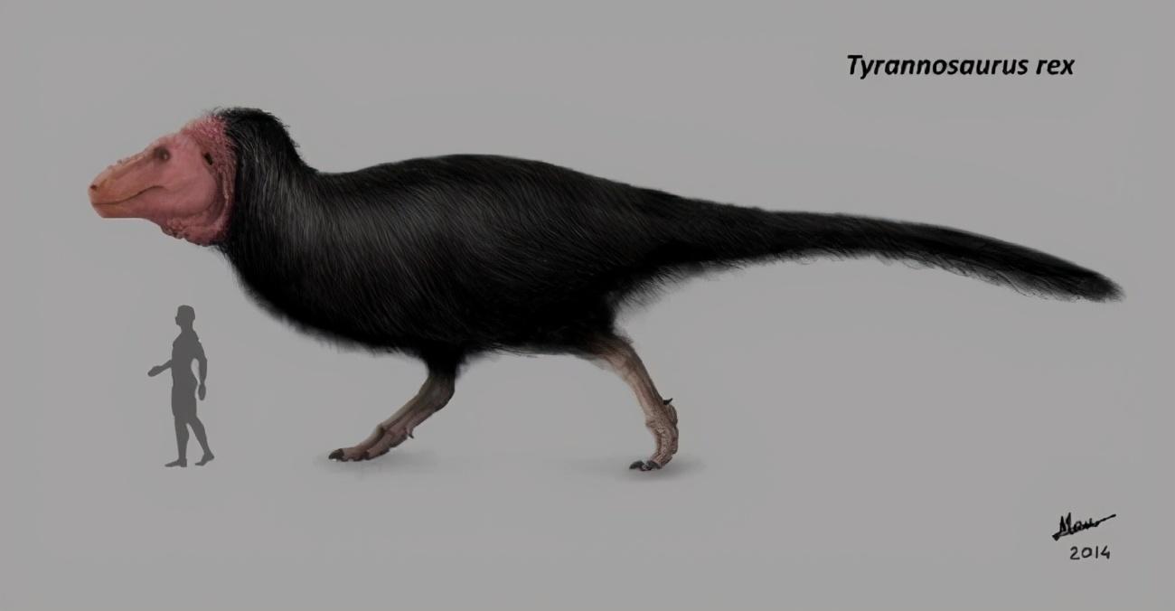 恐龙|很遗憾的告诉你,那些你印象中的古生物形象,其实基本上都是错误的