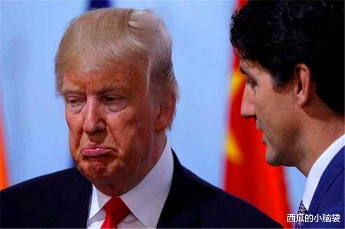 【世界卫生组织】大快人心!中国联手世卫宣布重磅决定,特朗普因此向中国低头认错?