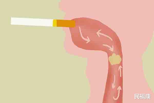 「尼古丁」一天抽半包烟,算多吗?一天最多抽多少烟?戒不了烟,也该控制下