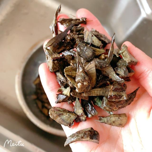 云南|味道怪异却完胜松茸，云南本地人最爱的这种菌子你吃过吗？