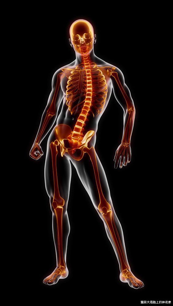 猩猩|都说人类是进化上的杰作：生理构造上，到底存在哪些不合理地方？