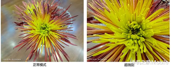 5G|5G市场又一款轻薄产品 vivo S7e评测