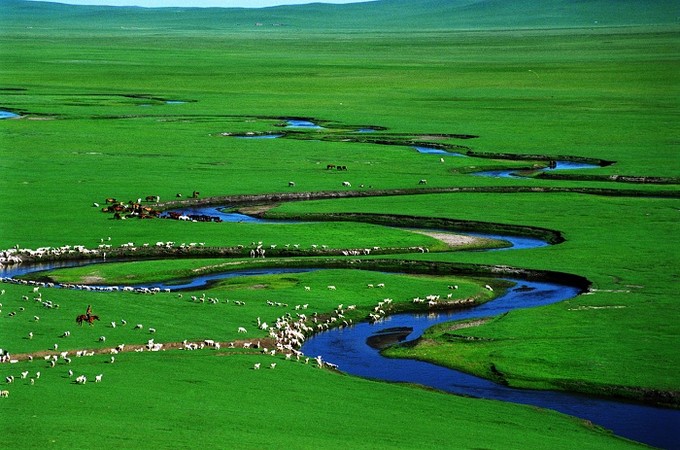 科学家：草原上面为什么长不了树？科学家给出答案