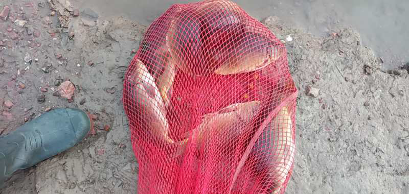 八一|八一水库迎八一，只为一菜来钓鱼