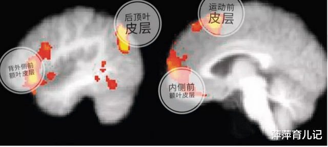 科学家|“左撇子”孩子比普通人更聪明？英国科学家：别把问题想得太复杂