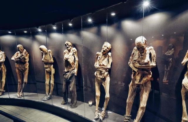 木乃伊|全球最另类博物馆，收藏寄生虫，粪便都不算啥，最后两个太残忍