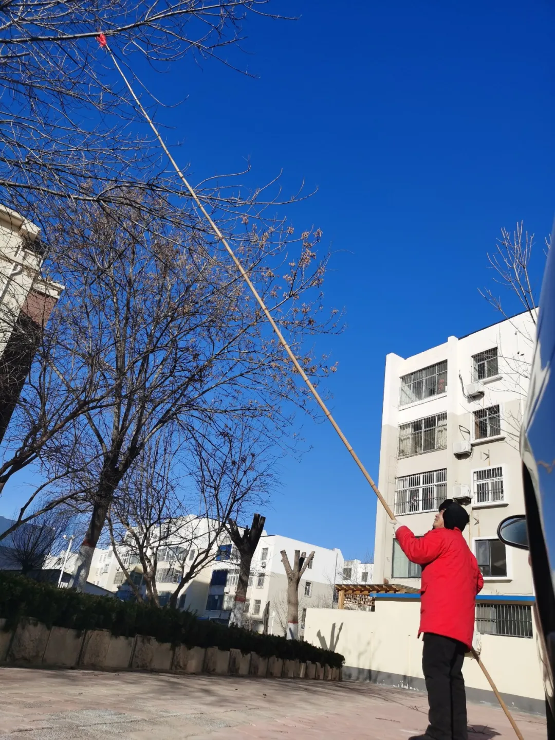 今朝看东营 寒潮来势汹汹，公服人与您温暖同行