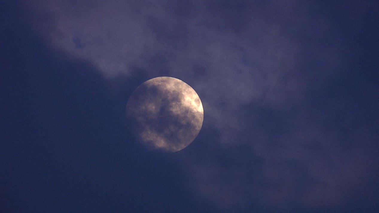 双鱼座|十月中旬来临，清扫遇到的苦难，回报即将到来的星座