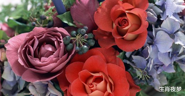 生肖|8月，浮光流年，旧情回归，3生肖始终放不下，将与旧爱再续前缘