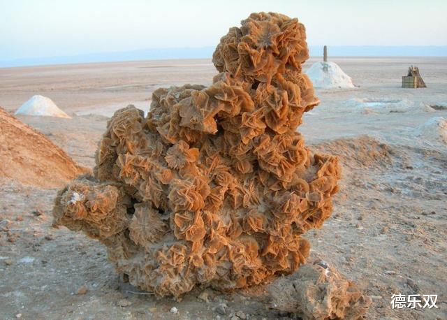 驴友@在沙漠中见到石头，为什么一定要捡出来？驴友：不捡是真傻！