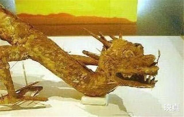 花豹|“真龙”现世，长近13米，最粗处达6米，专家：至少存在了上亿年