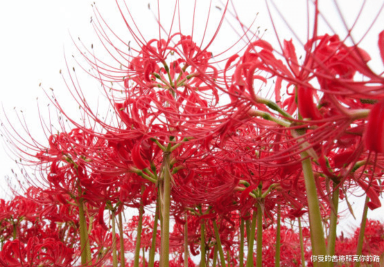 【运势】6月底迎来好运,4属相贵人出现,财源滚滚,日子喜气洋洋