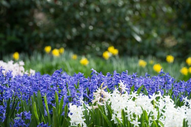 属牛|九月，不将就，真爱值得等待，等来了爱情的4大星座，将彼此珍惜