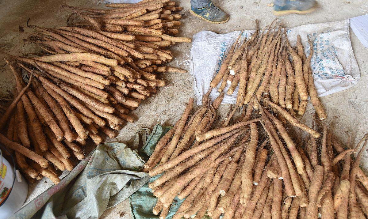 #糖尿病#糖尿病的祸首找到了,并非甜食,而是它,劝你别再往嘴里塞