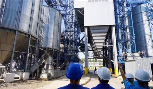 养乐多|被误认国产的外企，一个年赚1660亿，一个年收60亿，名字很耳熟