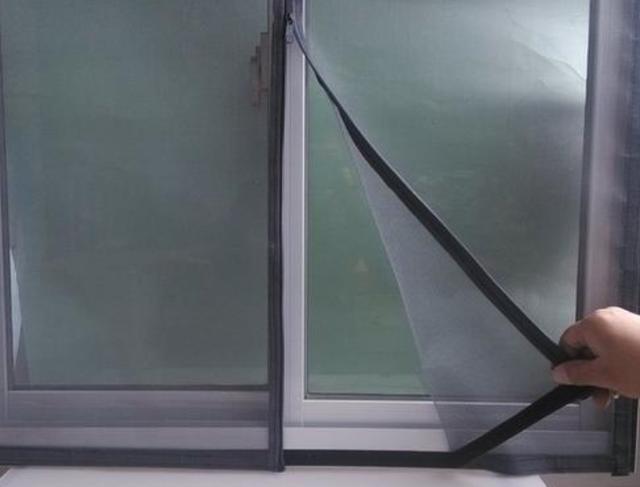 蚊子|夏天室内蚊虫真烦人，教你一招，把纱窗用它来代替，实用多了