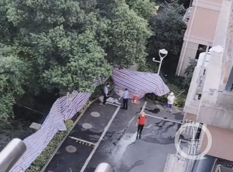 ＂原＂上游新闻|浙江失踪19天女子已遇害，其丈夫有重大作案嫌疑