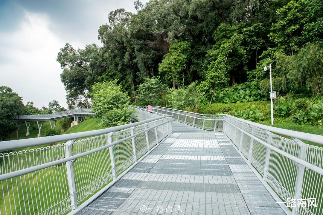 广州市|广州第一条“空中步道”，穿行在青山绿水间，走完全程大约2小时