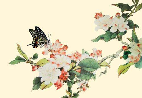 『苏轼』苏轼最著名的一首海棠诗,表面明丽浪漫,但你真的读懂了吗