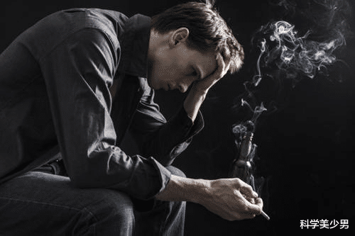 蝙蝠|为什么男性寿命更短,是什么限制了人类寿命?