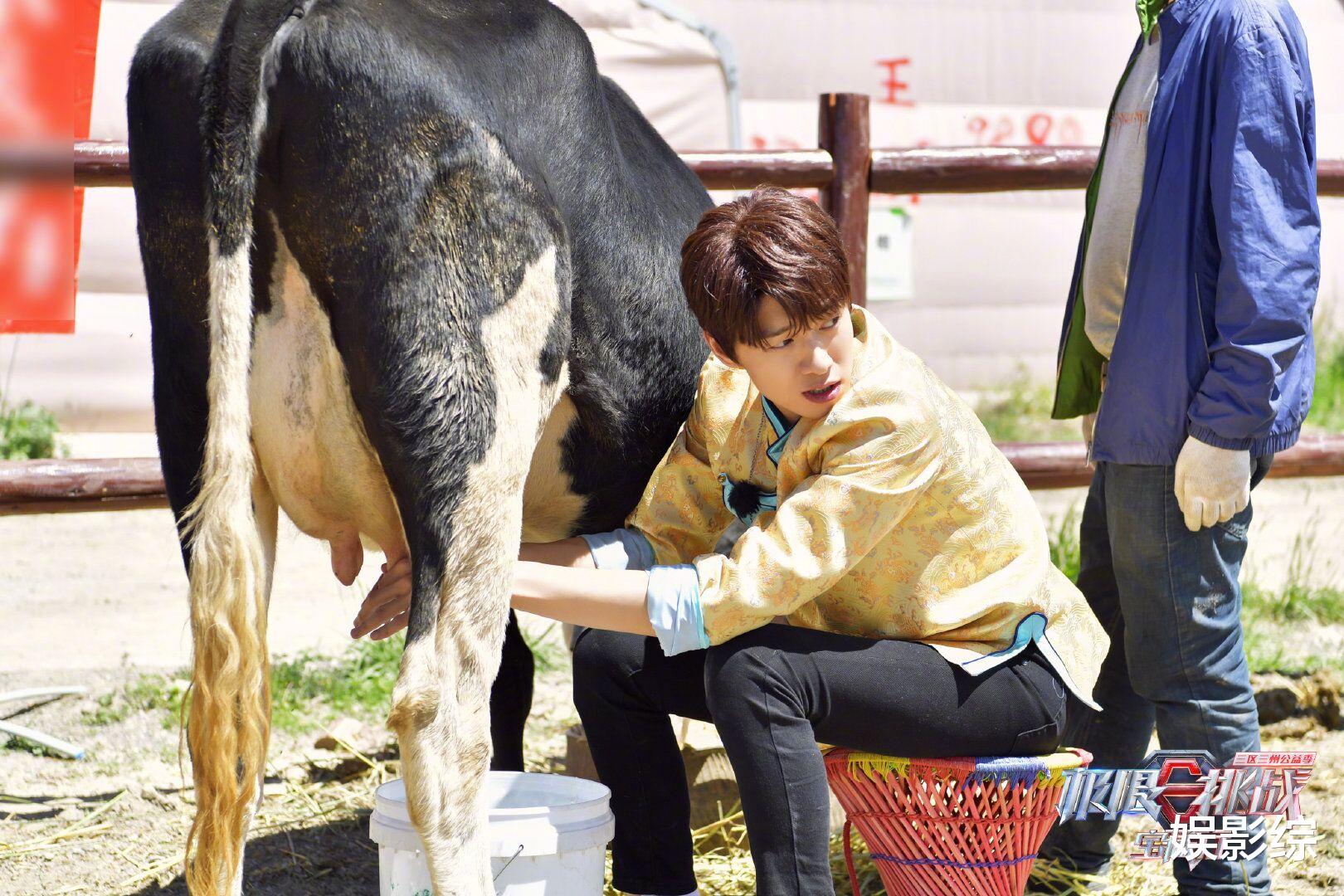 刘宇宁|刘宇宁道歉后，《极限挑战》节目组没回应，其他嘉宾态度更寒心