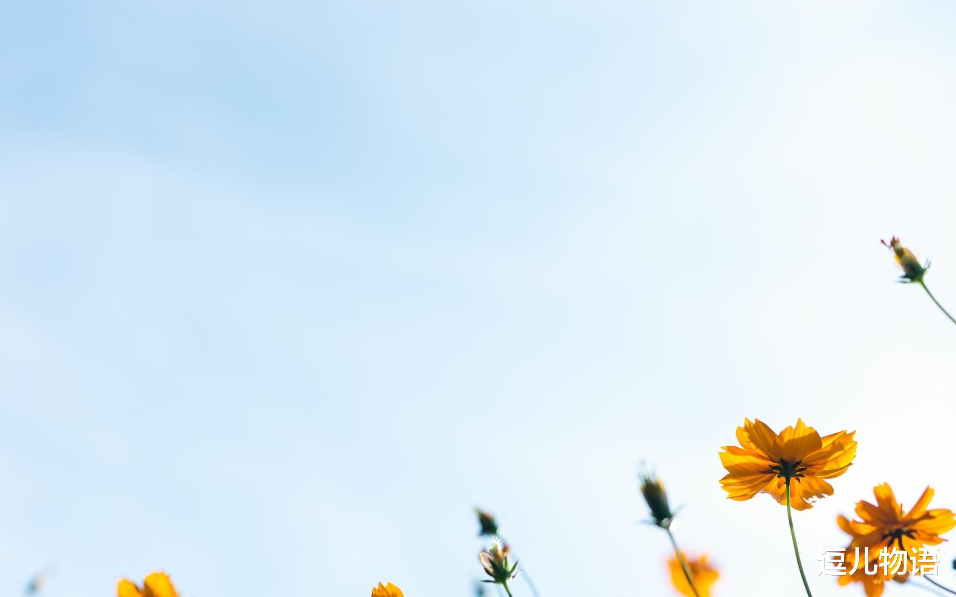 「属牛」生肖牛:6月开始好运“势不可挡”,开门迎财神爷,心想事成