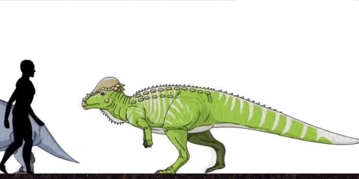 恐龙|远古时期的地球, 曾存在过的可怕生物, 今已全部灭绝