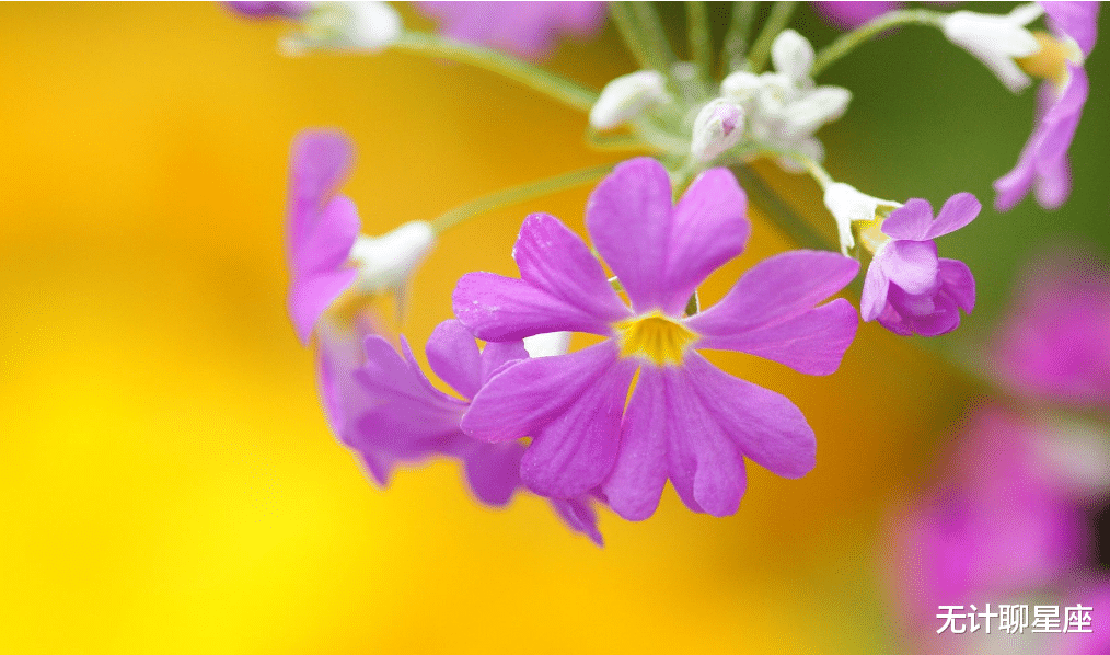 |未来一周，这4个星座事业会有起色，诸事顺利，大吉大利
