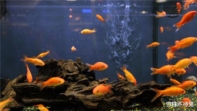 |26个冷知识：书本上不会有，但却真实存在着