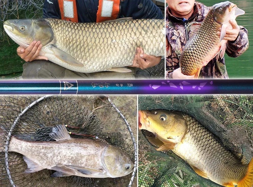 |一位老钓友，10年钓鱼感悟，让你一生受用！