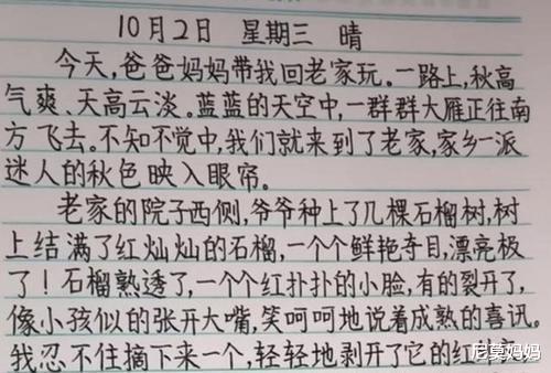 高考状元|2020年高考状元“神仙字体”,字迹如印刷体,看着就想给高分