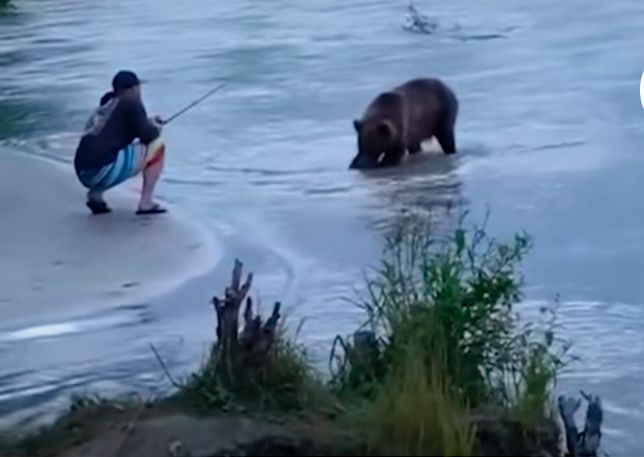 |黑熊路过，东西带走了啊，不服来战