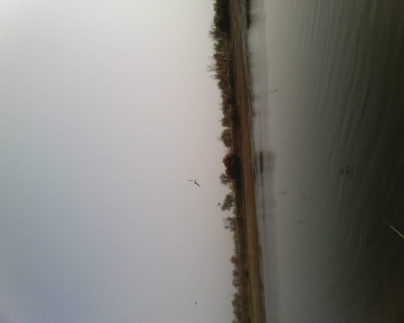 【】快乐时光，走起钓鱼！