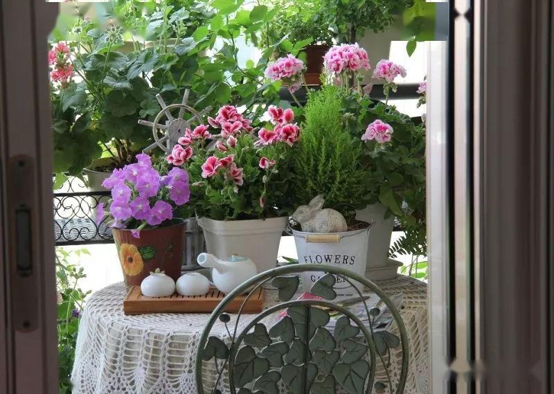 @7㎡迷你“阳台造园”：小阳台这样布置，也能美成的花园