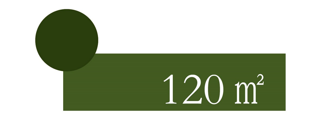 |120㎡橄榄样板间，精致舒适