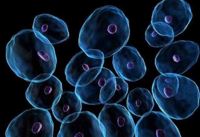 科学家▲科学家将细胞放大到5000倍，人们醒悟：原来这句话不无道理