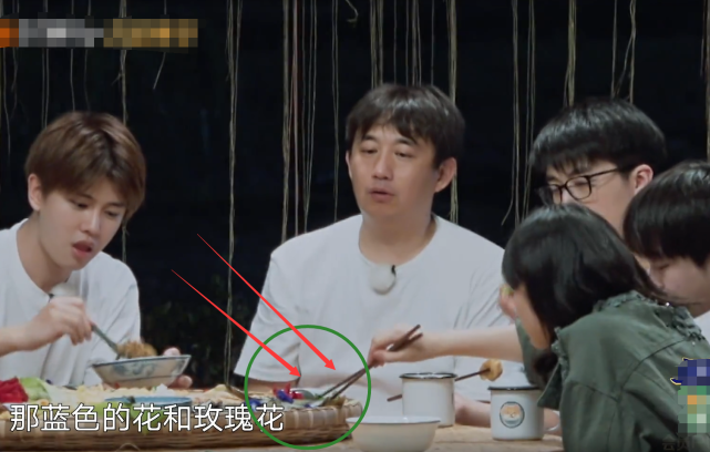 黄磊|向往4：张子枫只尝一口菜就直言没什么味，何炅4字救场，表情引热议