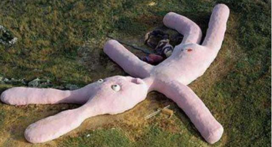 兔子|当年被卫星扫描到的巨大无比的兔子,多年后被毁成了这样