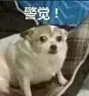 人民网上海频道|沪一女子买了个8千多的吊坠，一回头竟被告了！店员：它价值8万…