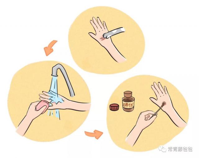 半岛晨报|男子凌晨误入山中被野狗逼上绝路，打开手机闪光灯发现在墓地里