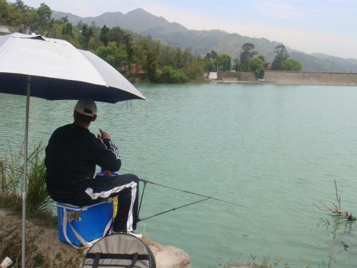 @野钓鲤草,找对位置了,渔获自然也就没问题了