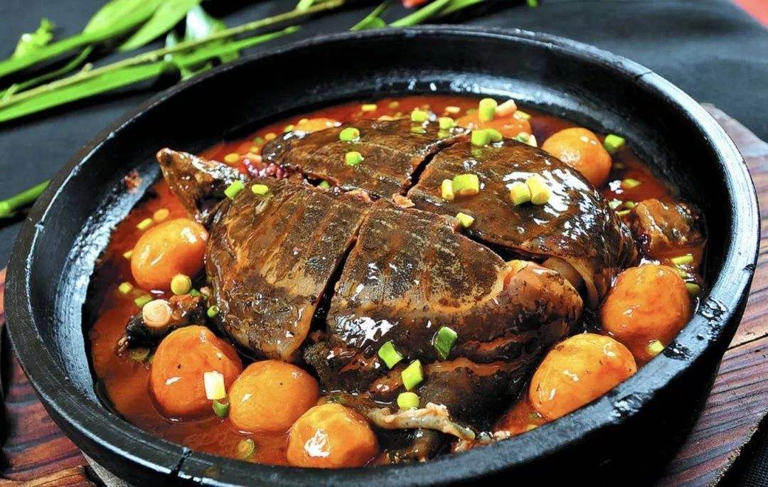 |为什么我们只吃甲鱼却不吃乌龟？看完解开多年疑惑