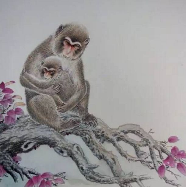 []宁添一斗，莫添一口，大金猴的往后，佛说这都是天意！