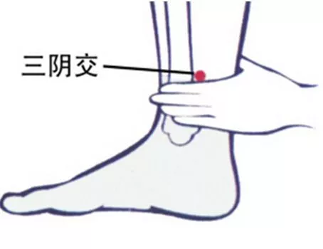 「养生」中年男性养生首养肝！ 最直接的护肝方法竟是它！