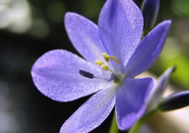 生肖|8月中旬开始贵人多财运旺，有吉星照耀，翻身做大富翁的四大生肖