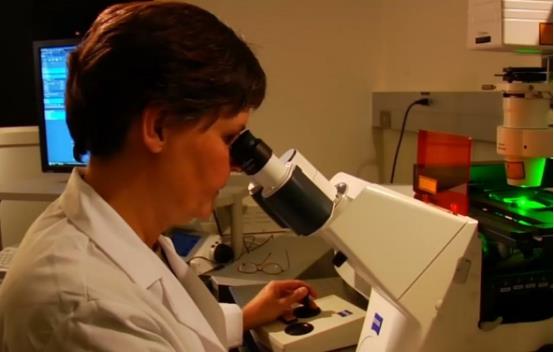 [科学家]六百万年前的怪异石头：遇水就疯长，科学家切开后愣住了