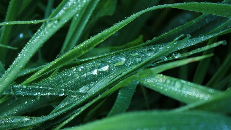 生肖：这三生肖女聪慧过人，福泽深厚，招财旺夫，富贵多福，遇到要珍惜